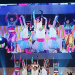 dalfin09_ark_wachi013s dalfin09_ark_wachi013s